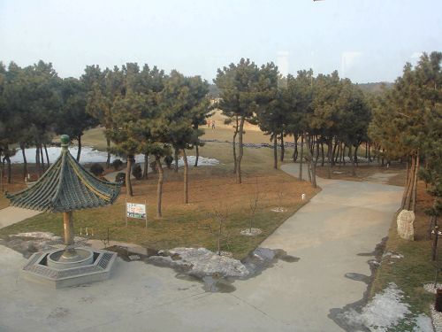 05.jpg