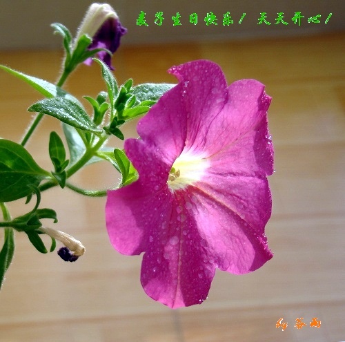 DSC05264`.jpg