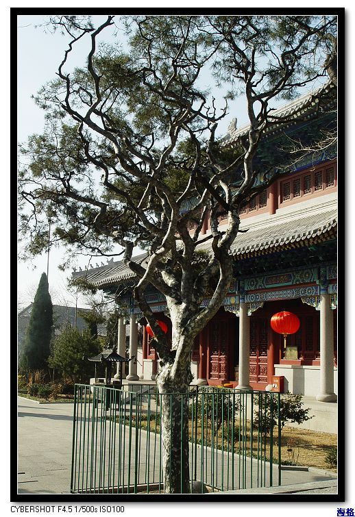 DSC04140_nEO_IMG.jpg
