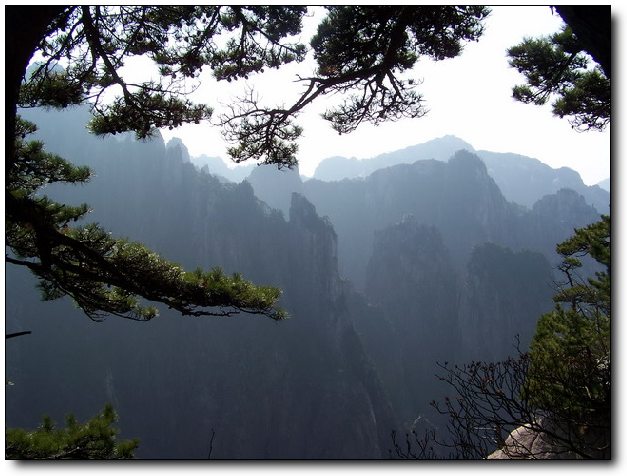 100_8301_缩小大小.JPG