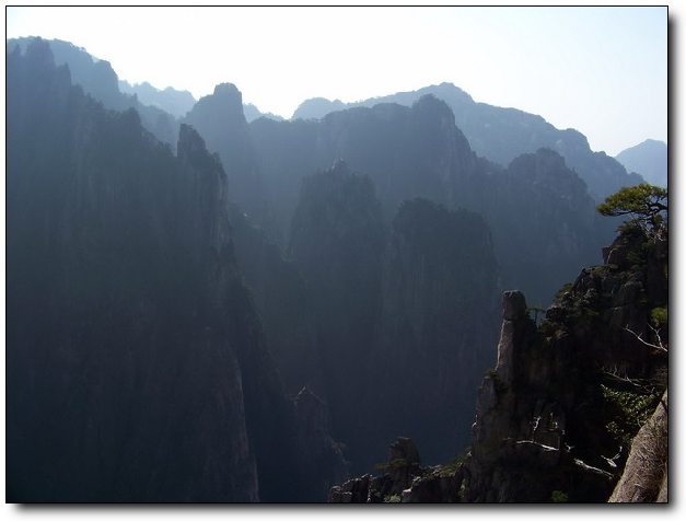 100_8292_缩小大小.JPG