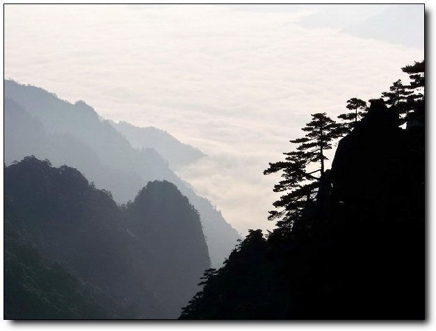 100_8179_缩小大小.jpg