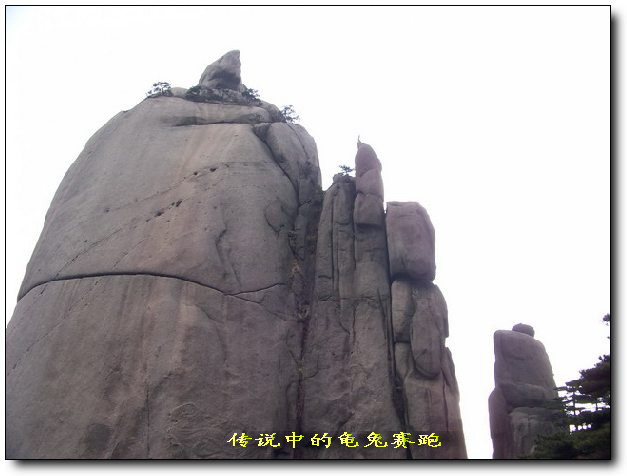 100_8439_缩小大小.jpg