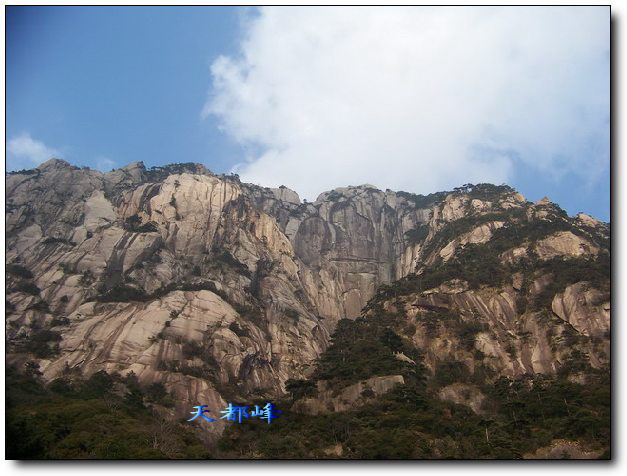 100_8475_缩小大小.jpg