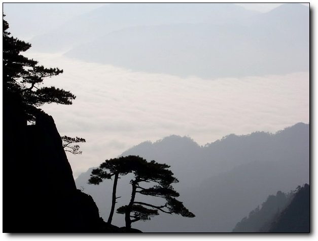 100_8195_缩小大小.jpg