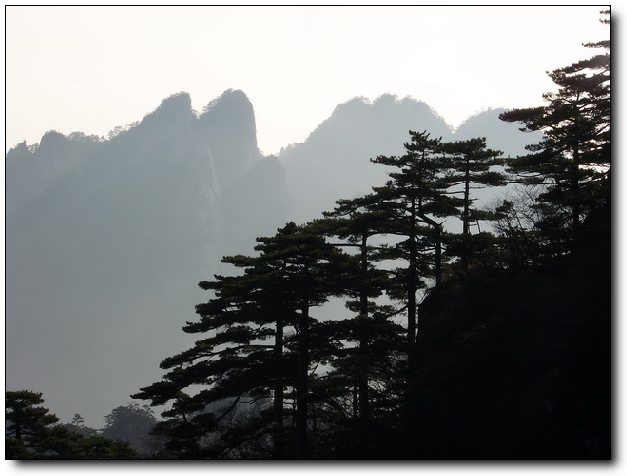 100_8177_缩小大小.JPG