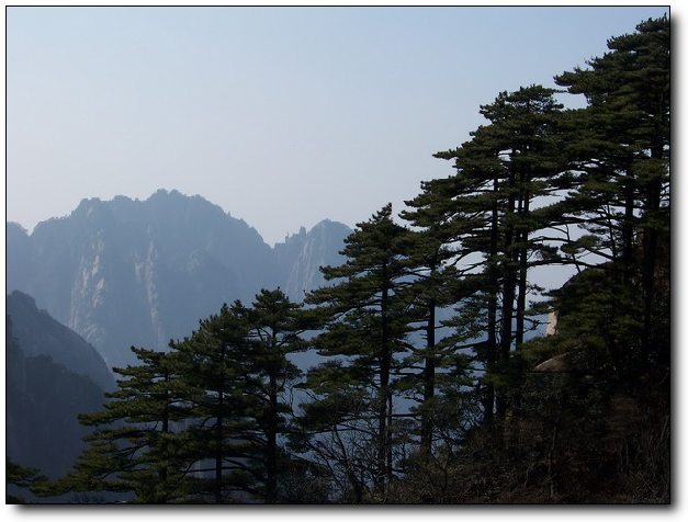 100_8289_缩小大小.JPG