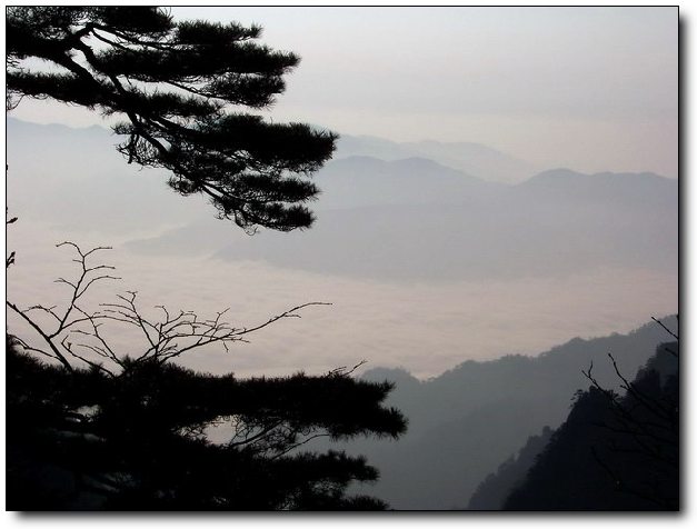 100_8182_缩小大小.jpg