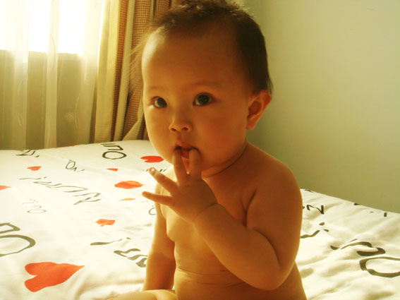 DSC08912.jpg