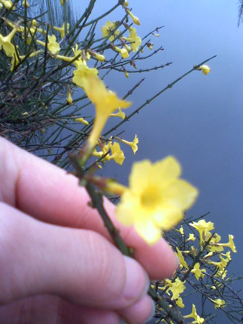 旋转 030309084753.jpg