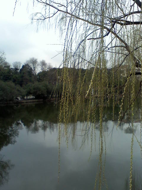 旋转 030309085046.jpg