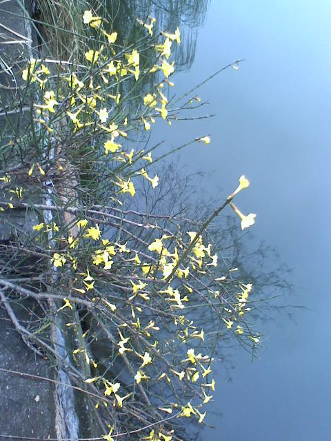 旋转 030309084738.jpg