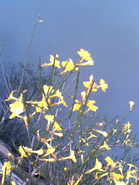 旋转 030309084809.jpg