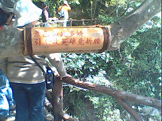 景色多骄.jpg