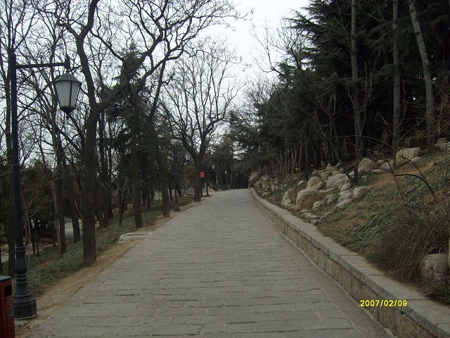 S7301831.jpg
