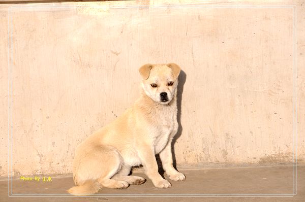 照片20090329 093.jpg