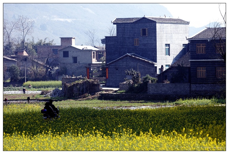 200903041.jpg