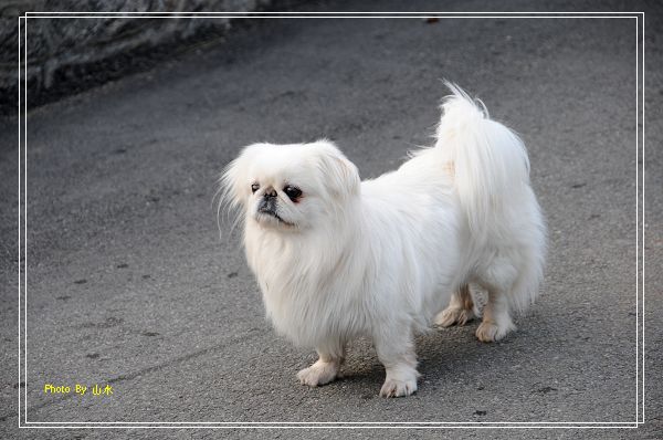 照片20090329 074.jpg