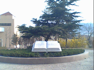 IMG1360A.jpg