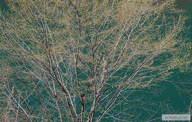 20090412_a21134ca3e9e20727352dEj7FiBsPxKr.jpg