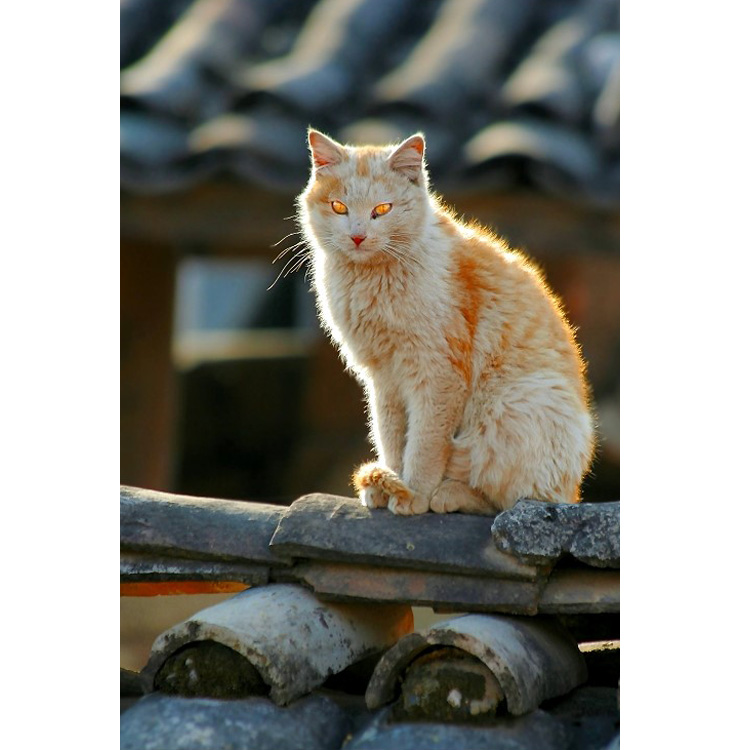 2008050201.jpg