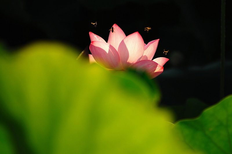 2008051401.jpg