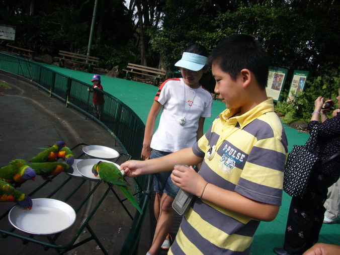P1140089_缩小大小.JPG