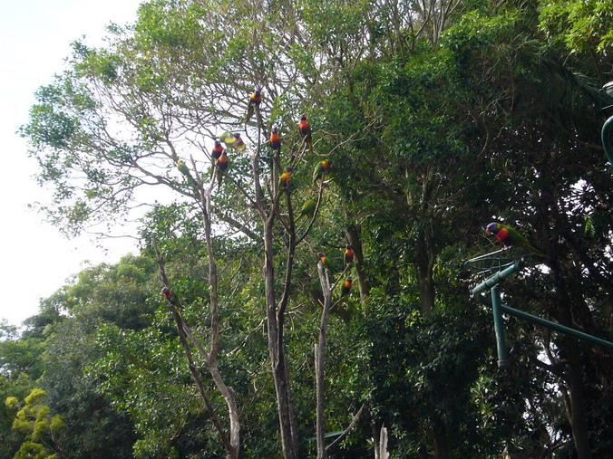 P1140086_缩小大小.JPG
