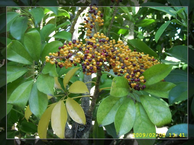 SPA53780_缩小大小.JPG