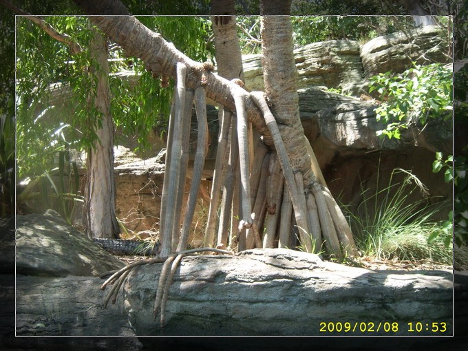 SPA53716_缩小大小.JPG