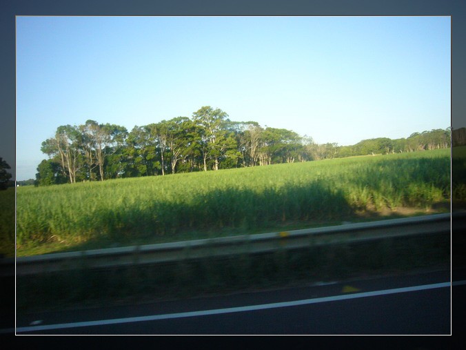 P1140072_缩小大小.JPG