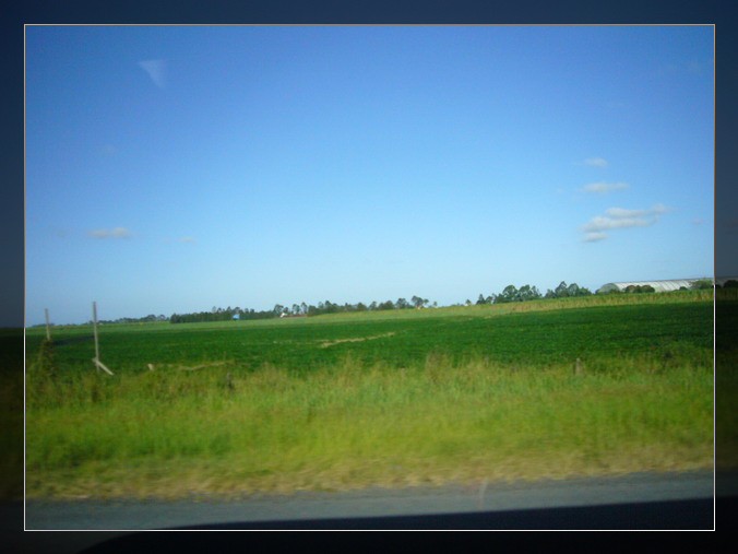 P1140067_缩小大小.JPG