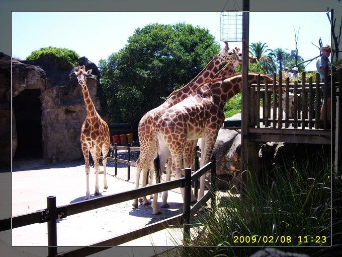 SPA53760_缩小大小.JPG