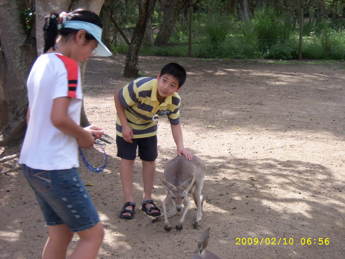 SPA53840_缩小大小.JPG