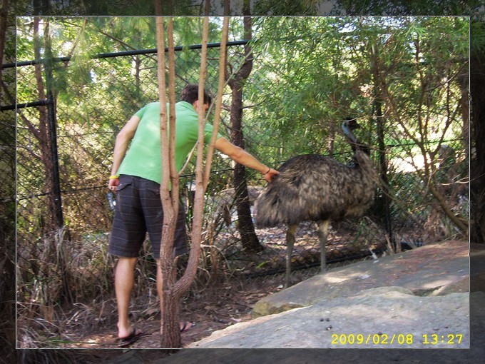 SPA53773_缩小大小.JPG