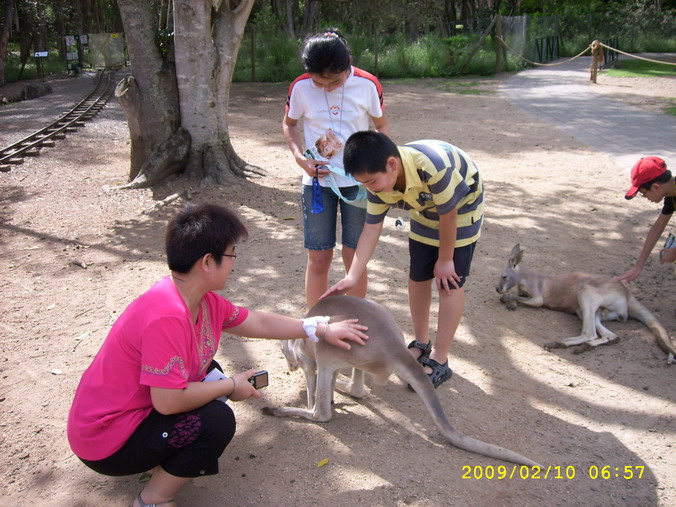 SPA53841_缩小大小.JPG