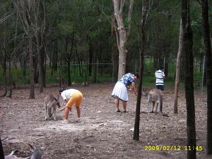 SPA53909_缩小大小.JPG