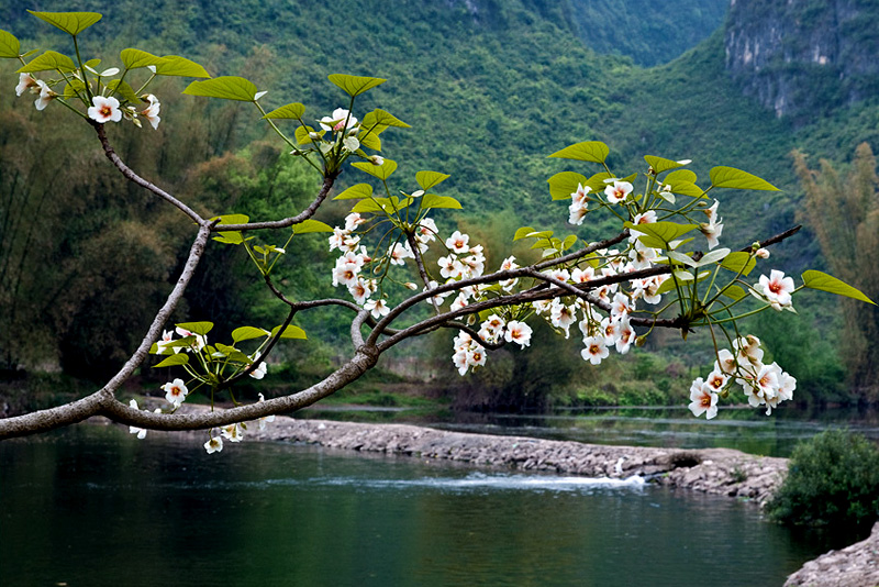 2009040608.jpg