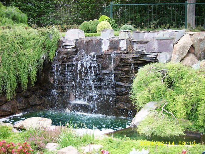 SPA54003_缩小大小.JPG
