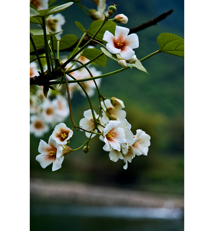 2009040609.jpg