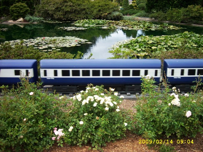 SPA53977_缩小大小.JPG