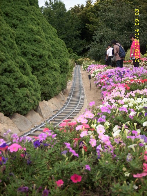 SPA53972_缩小大小.JPG