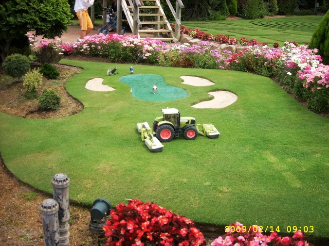 SPA53974_缩小大小.JPG