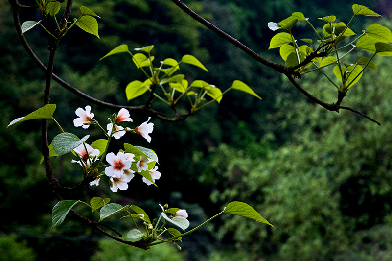 2009040612.jpg