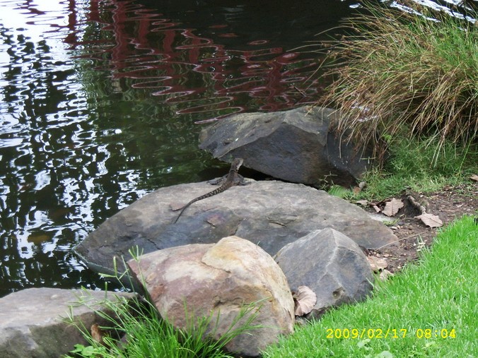 SPA54238_缩小大小.JPG