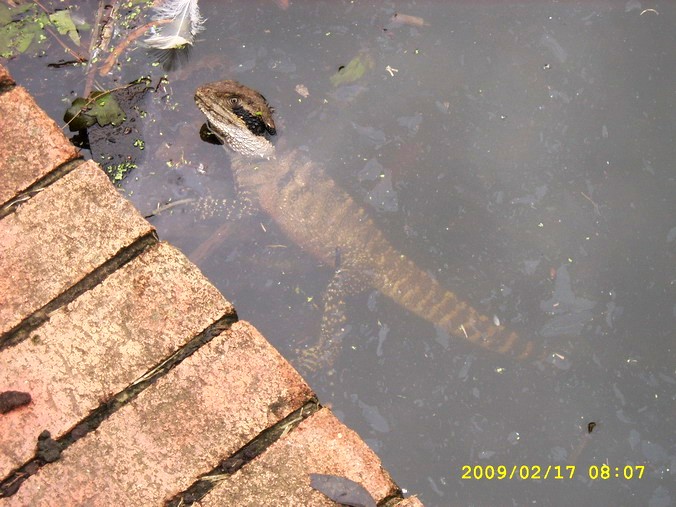 SPA54243_缩小大小.JPG