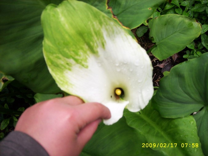 SPA54231_缩小大小.JPG