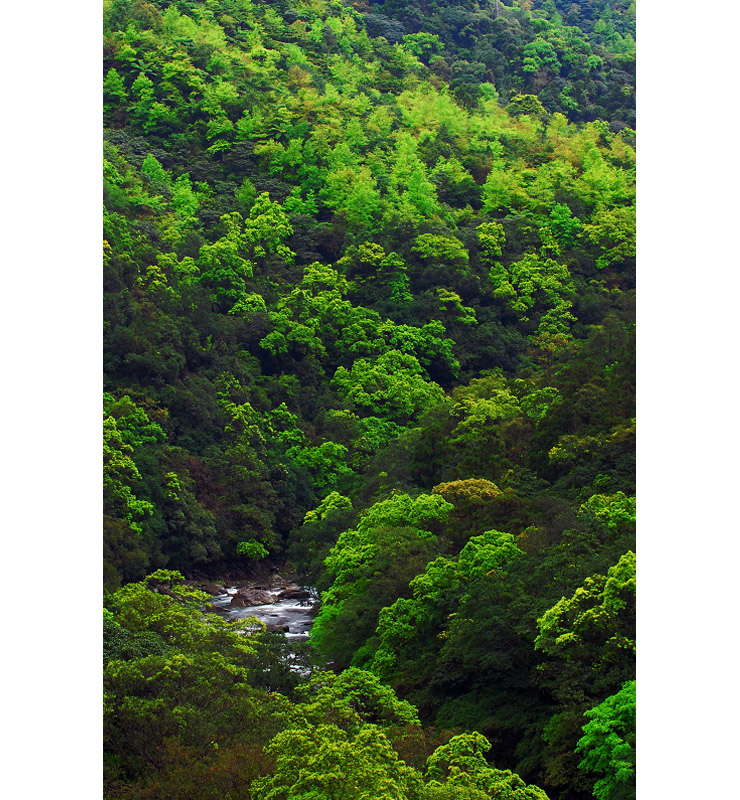 2009041804.jpg