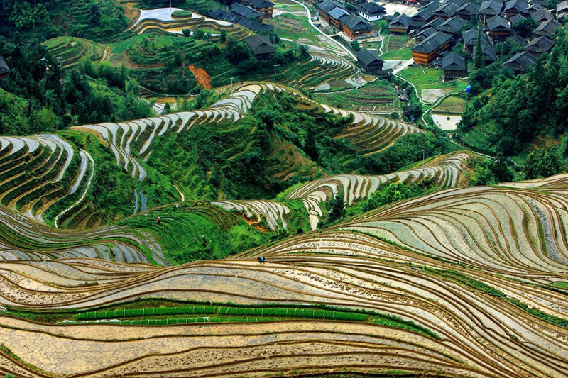 2009040703.jpg