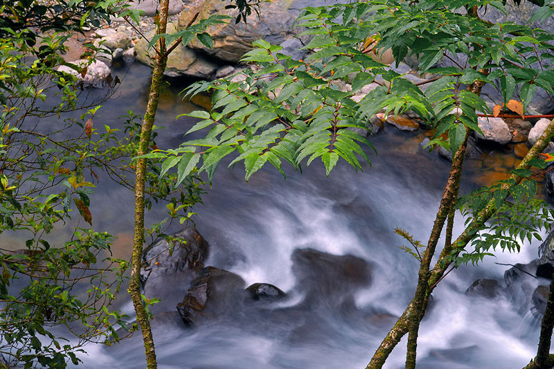 2009041818.jpg